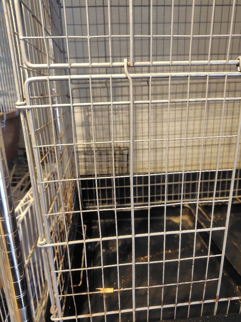 三連休特価！【値段交渉可】イージーホーム80ハイ　樹脂休足フロア　小動物　ケージ