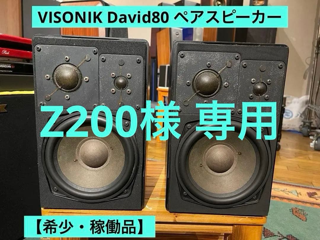 【希少】VISONIK David80 ペアスピーカー
