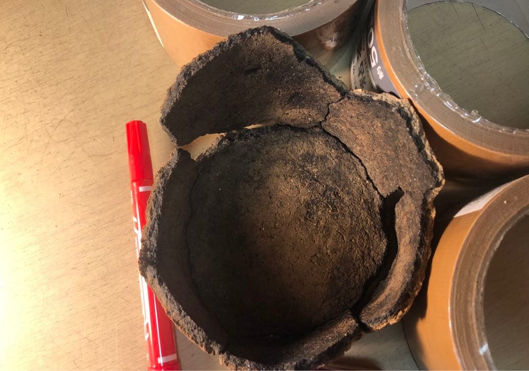「縄文土器の欠片 No.536」です。