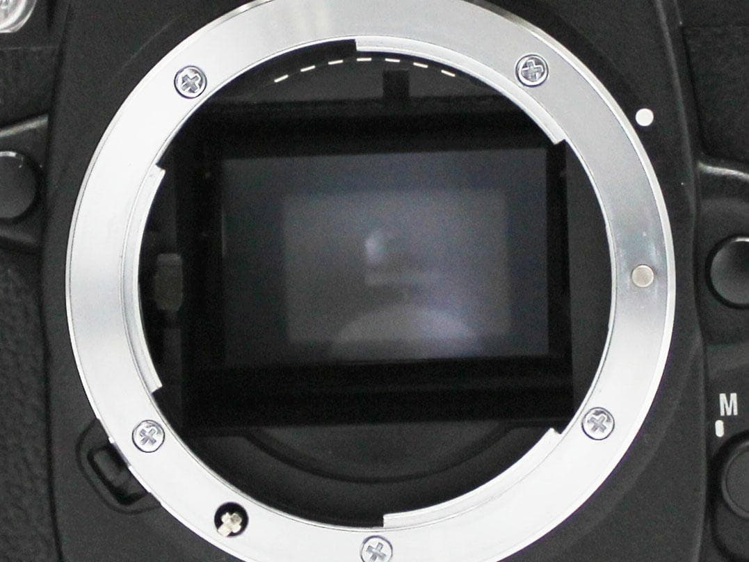【動作品】Nikon ニコン D100 デジタル一眼レフ ボディ バッテリー付