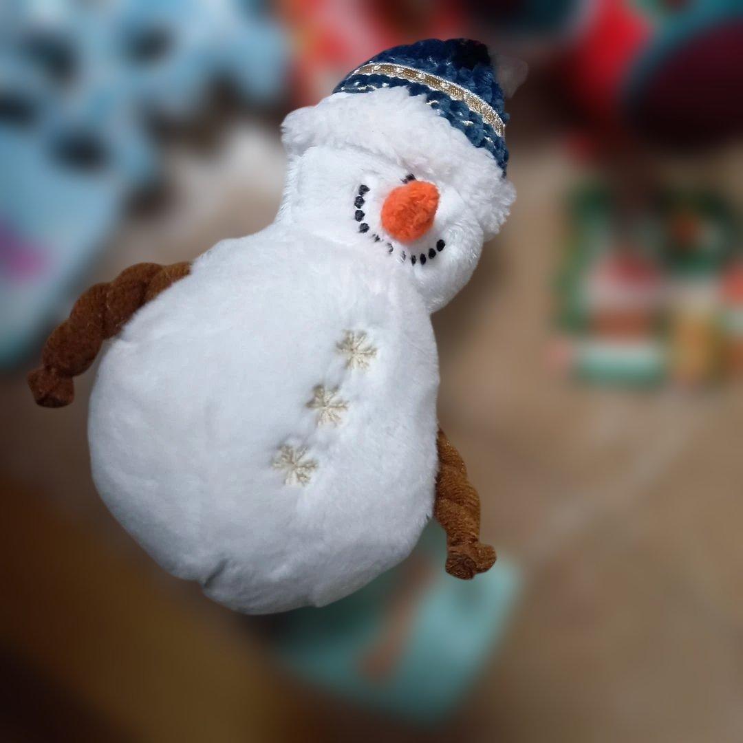 Bailey 冬の犬用おもちゃセット