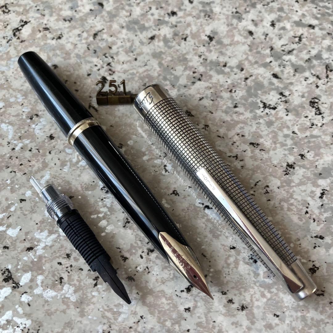 #251 オーバーホール済み 万年筆 PILOT Silver 18k